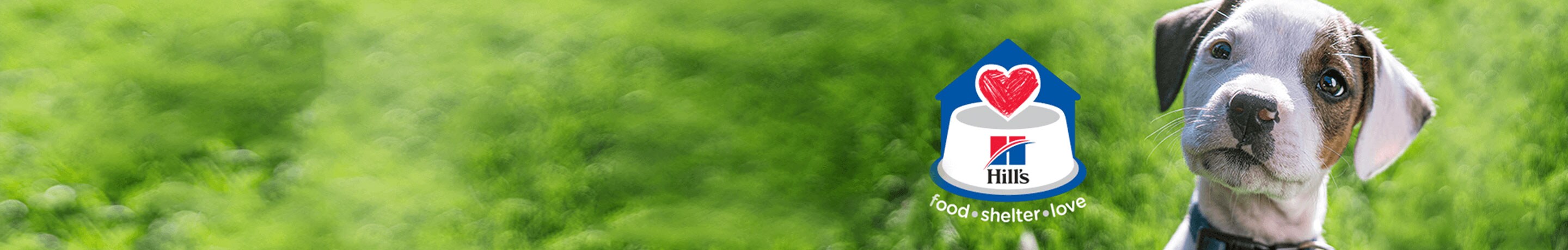 hills food shelter love hero banner